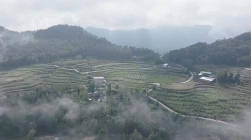 1699329455868374.jpg 638343486514616190998.webp.jpg